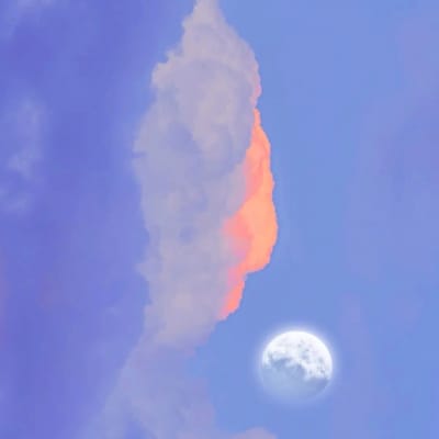 Lance Gokongwei's avatar