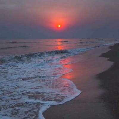 Donnalyn Bartolome's avatar